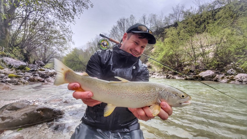 Marble Slovenia trout.